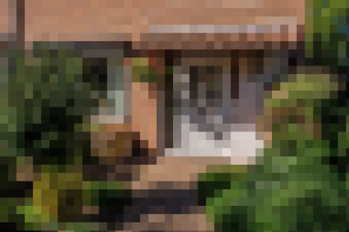 La Fontainestraat 2 Venlo thumbnail 32