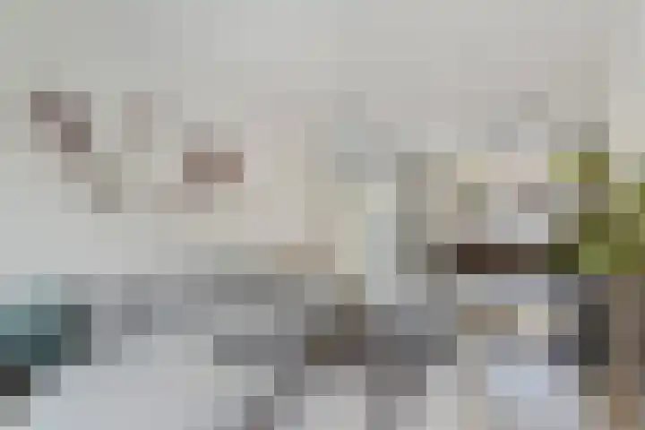 La Meye 61 Amsterdam thumbnail 10
