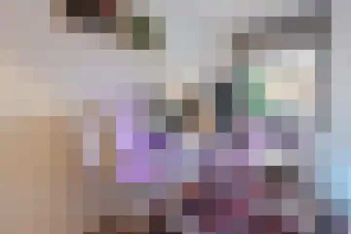 La Meye 61 Amsterdam thumbnail 14