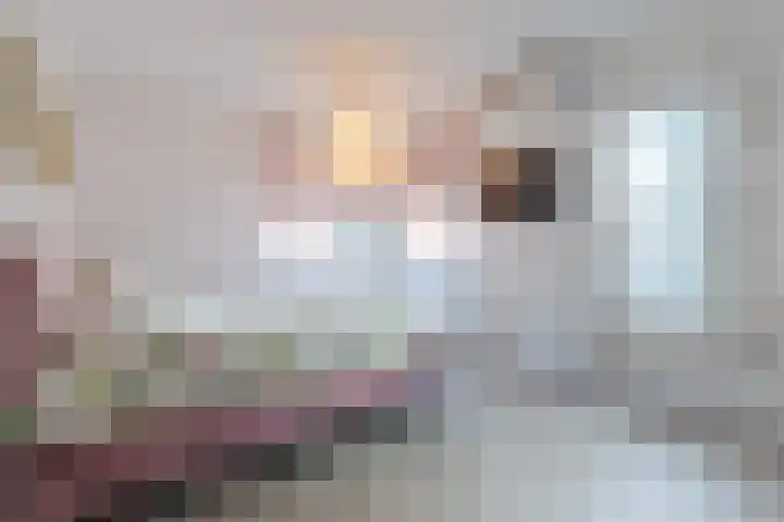 La Meye 61 Amsterdam thumbnail 20