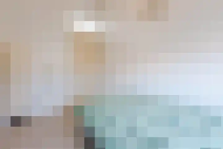 La Meye 61 Amsterdam thumbnail 29
