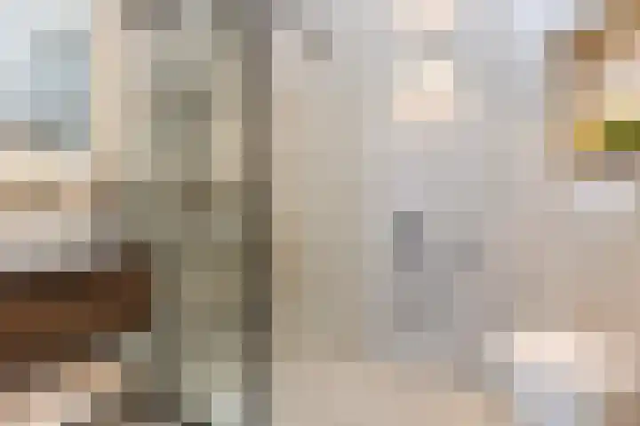 La Meye 61 Amsterdam thumbnail 37