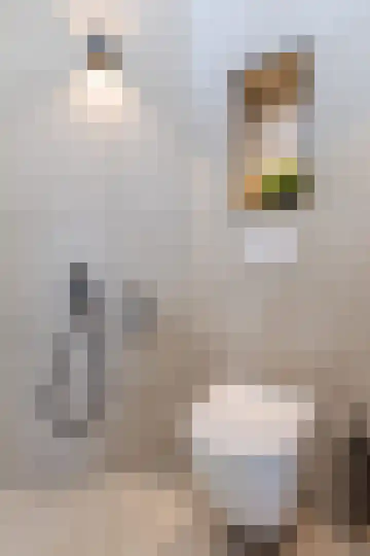 La Meye 61 Amsterdam thumbnail 42