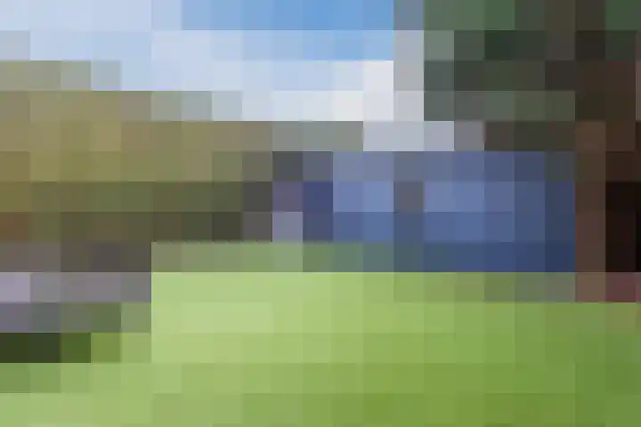 La Meye 61 Amsterdam thumbnail 44