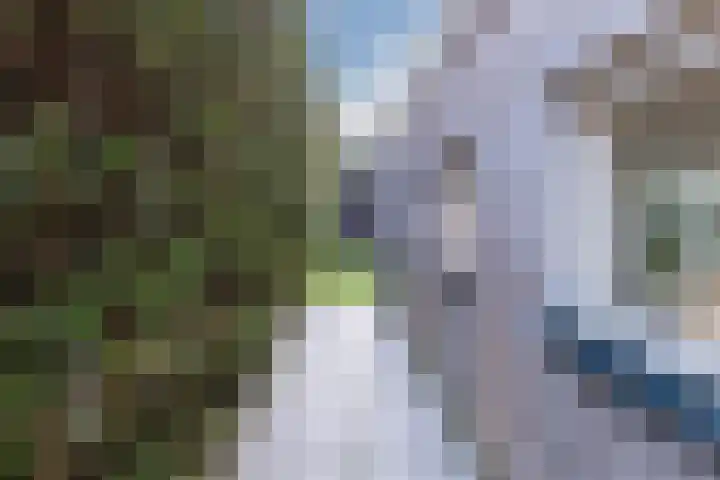 La Meye 61 Amsterdam thumbnail 51