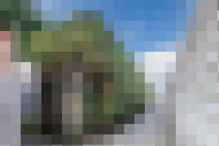 La Meye 61 Amsterdam thumbnail 52