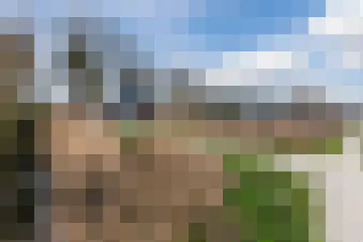 La Meye 61 Amsterdam thumbnail 58
