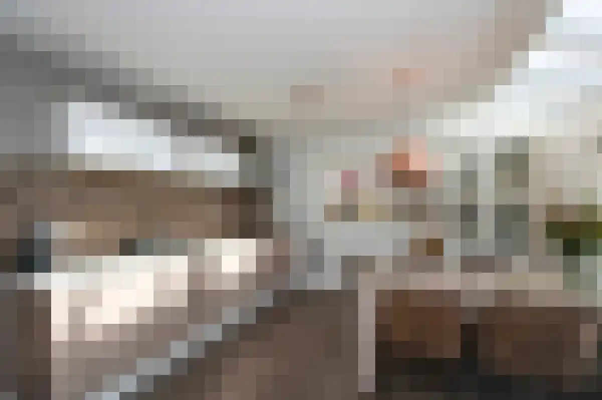 La Meye 66 Amsterdam thumbnail 5