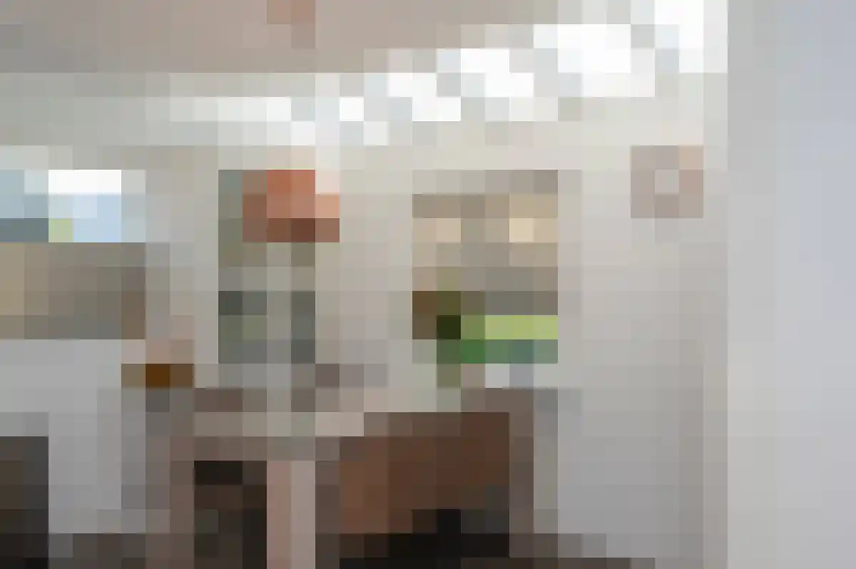 La Meye 66 Amsterdam thumbnail 6