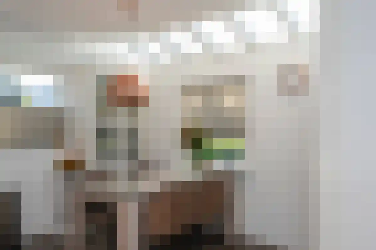La Meye 66 Amsterdam thumbnail 6