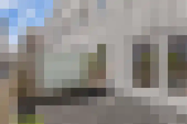 La Palma 19 Zaandam thumbnail 20