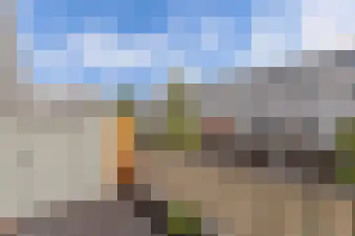 La Palma 19 Zaandam thumbnail 22