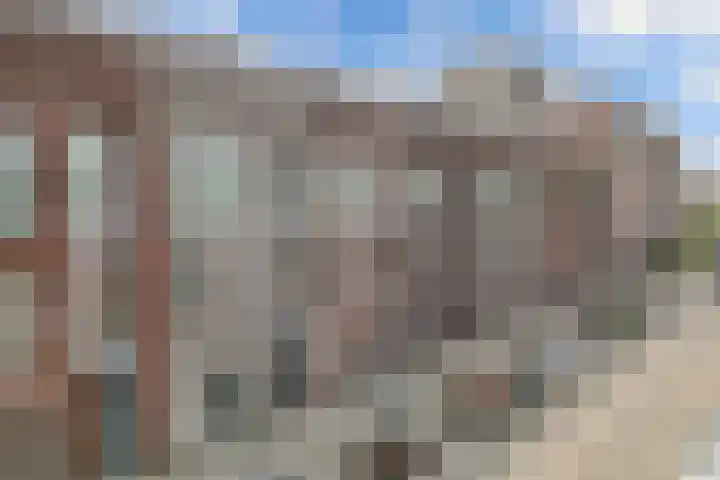La Palma 19 Zaandam thumbnail 35