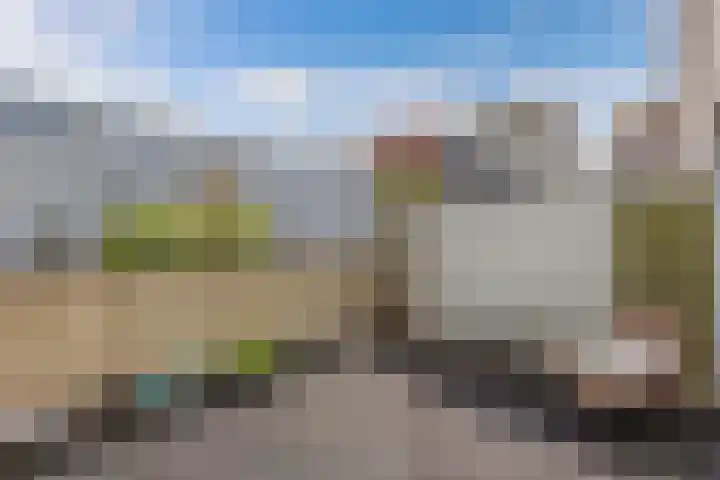La Palma 19 Zaandam thumbnail 4