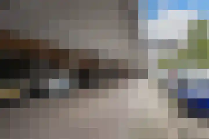 La Palma 19 Zaandam thumbnail 5
