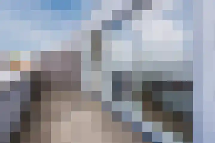 La Palma 40 Zaandam thumbnail 30