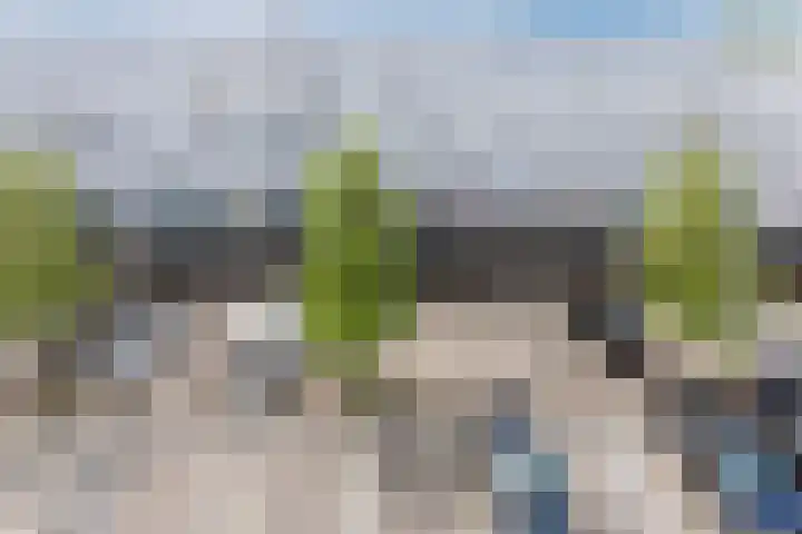La Palma 40 Zaandam thumbnail 31