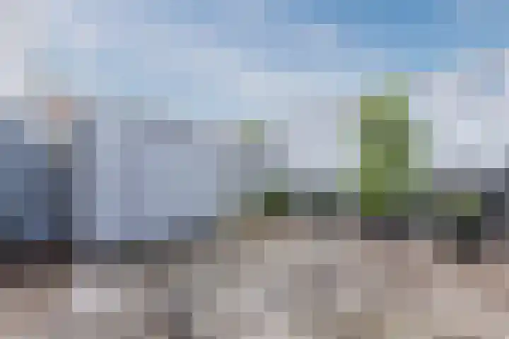 La Palma 40 Zaandam thumbnail 32