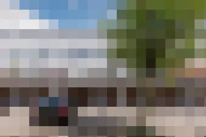 La Palma 40 Zaandam thumbnail 39