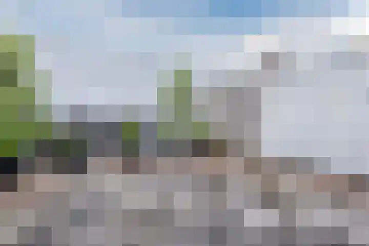 La Palma 40 Zaandam thumbnail 4
