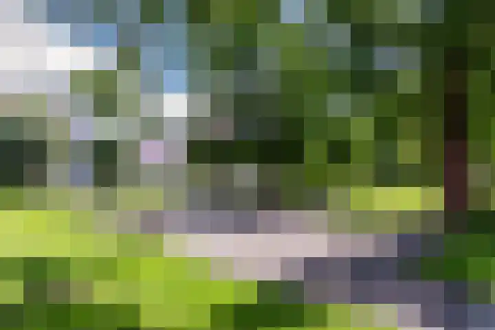 La Palma 40 Zaandam thumbnail 43