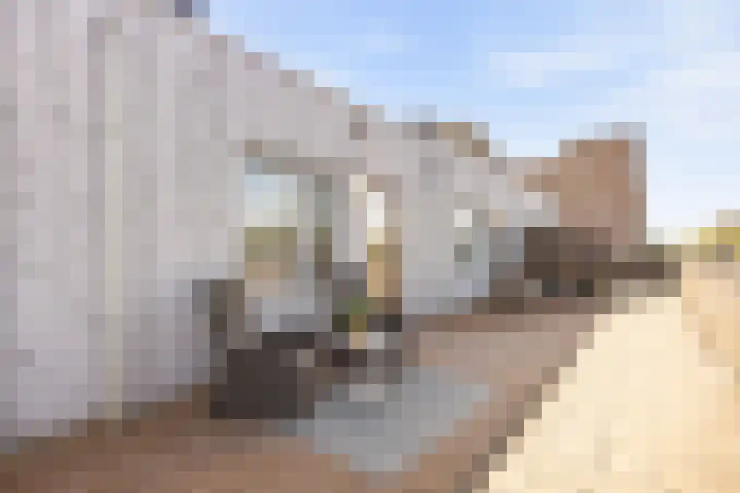 La Palma 73 Zaandam thumbnail 8