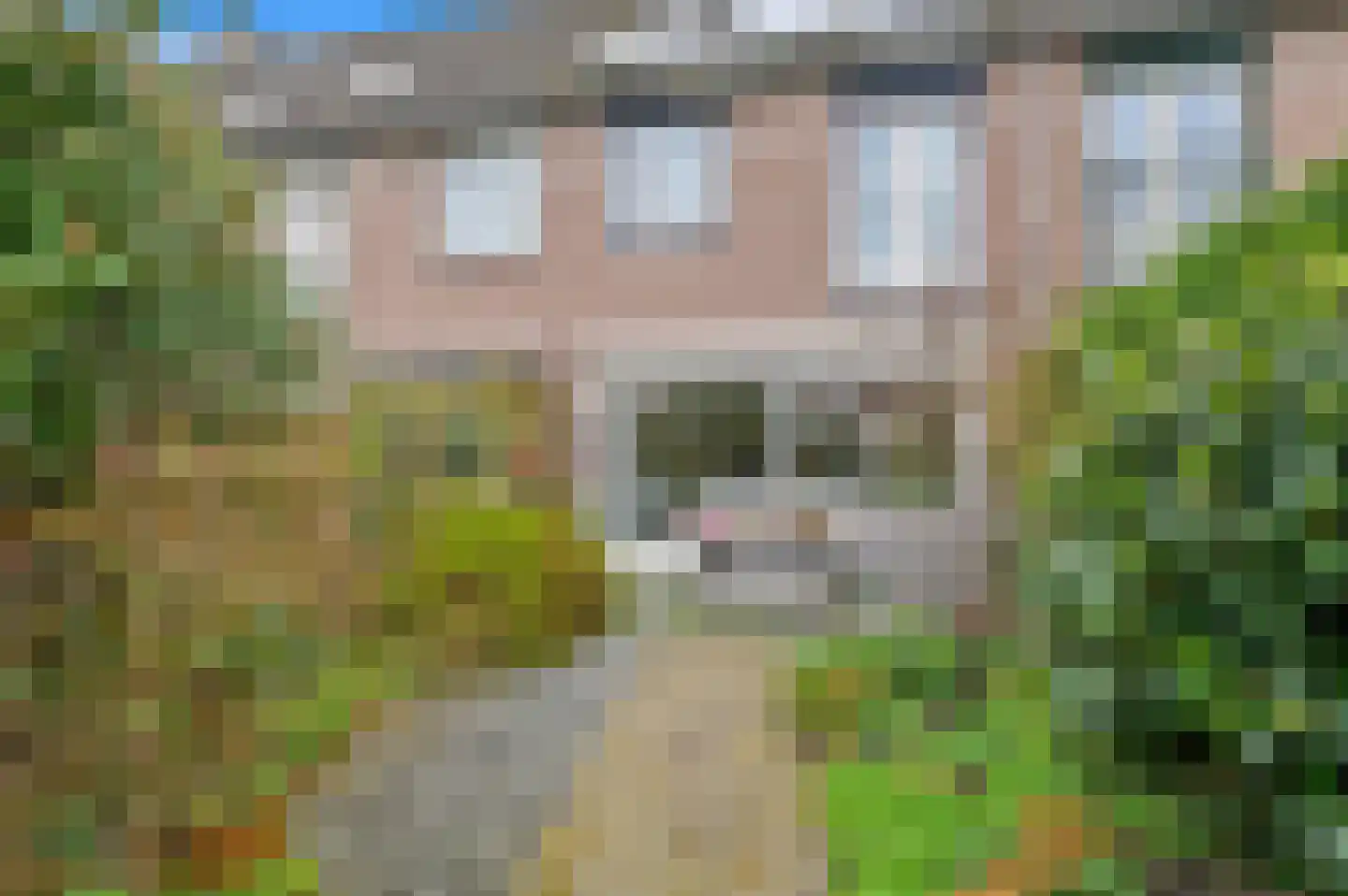 La Pazstraat 12 Delft thumbnail 12