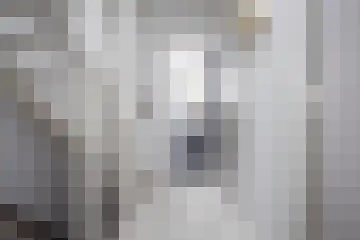 La Reinelaan 101 Bovenkarspel thumbnail 18