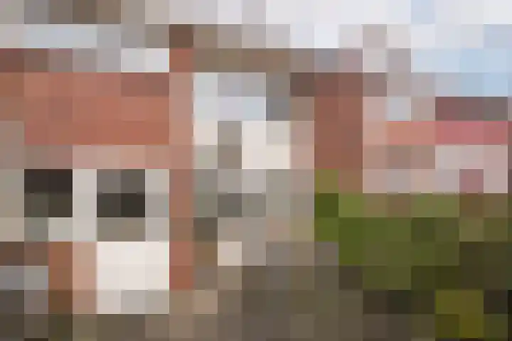 La Reinelaan 101 Bovenkarspel thumbnail 30