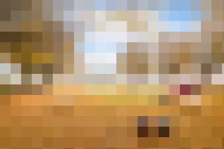 La Reinelaan 101 Bovenkarspel thumbnail 32