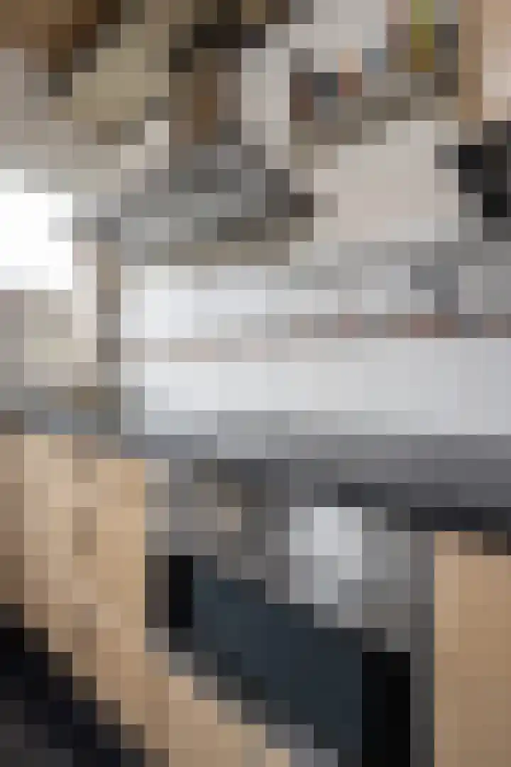 La Reinelaan 101 Bovenkarspel thumbnail 39