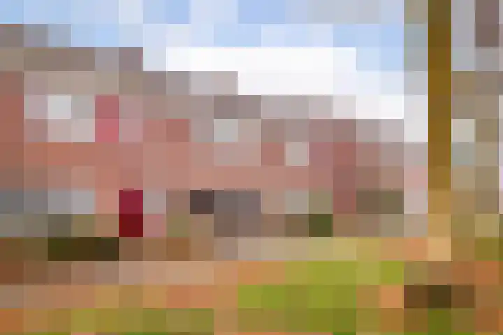 La Reinelaan 101 Bovenkarspel thumbnail 5