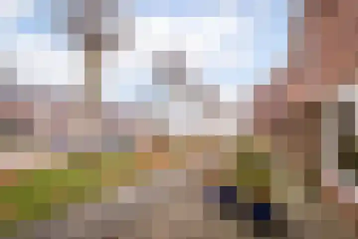 La Reinelaan 101 Bovenkarspel thumbnail 6