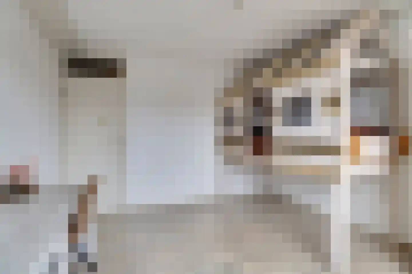 La Reinelaan 12 Bovenkarspel thumbnail 18