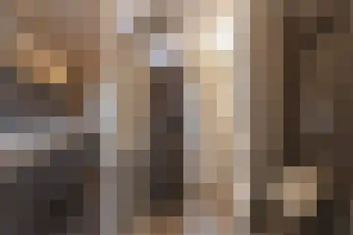 La Reinestraat 14 Andijk thumbnail 11