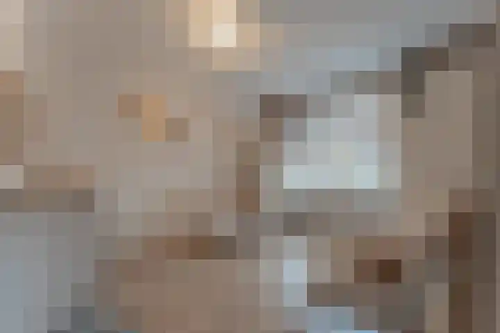 La Reinestraat 14 Andijk thumbnail 12