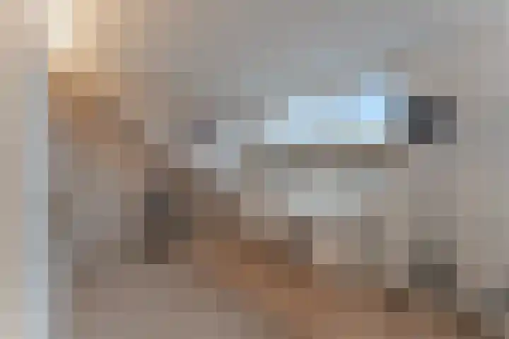 La Reinestraat 14 Andijk thumbnail 13