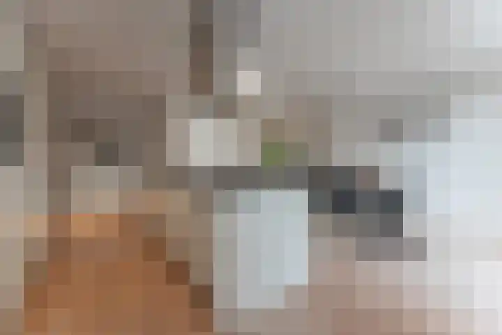 La Reinestraat 14 Andijk thumbnail 22