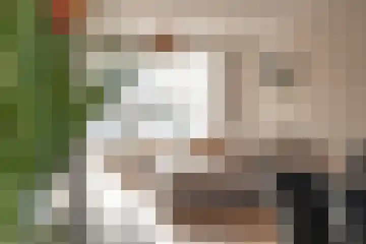 La Reinestraat 14 Andijk thumbnail 27
