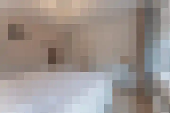 La Reinestraat 14 Andijk thumbnail 33
