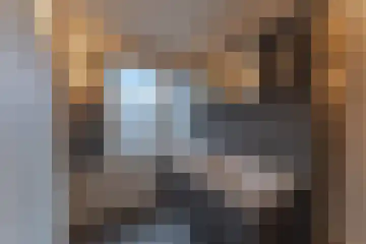 La Reinestraat 14 Andijk thumbnail 34