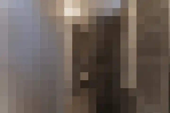 La Reinestraat 14 Andijk thumbnail 35