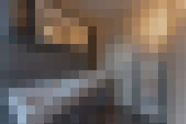 La Reinestraat 14 Andijk thumbnail 36