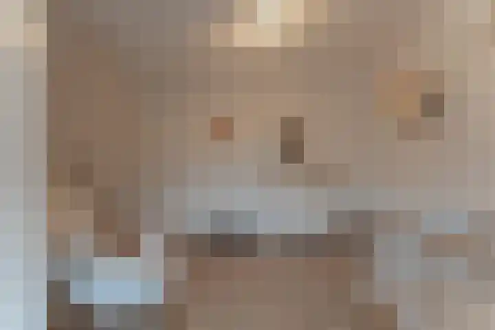 La Reinestraat 14 Andijk thumbnail 37