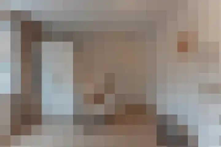 La Reinestraat 14 Andijk thumbnail 39
