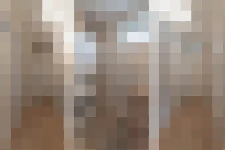 La Reinestraat 14 Andijk thumbnail 41