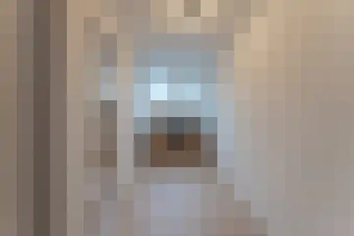 La Reinestraat 14 Andijk thumbnail 42
