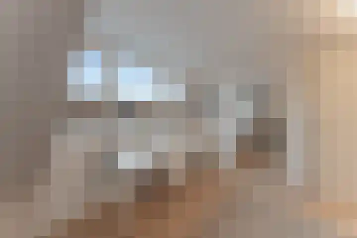 La Reinestraat 14 Andijk thumbnail 44