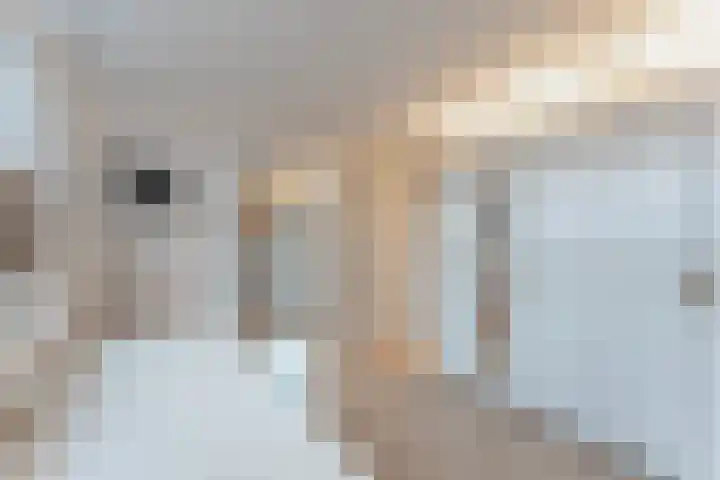 La Reinestraat 14 Andijk thumbnail 45