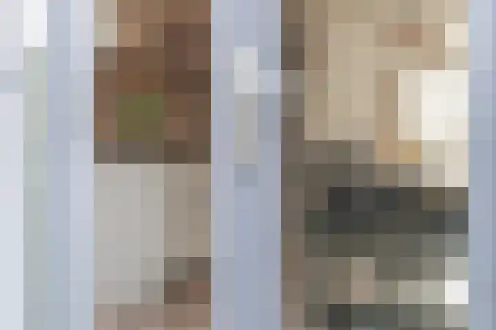 La Reinestraat 14 Andijk thumbnail 5